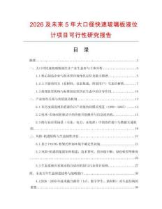 2026及未來5年大口徑快速玻璃板液位計項目可行性研究報告