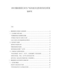 2025橡膠輪胎行業(yè)生產(chǎn)技術(shù)進(jìn)步及供需經(jīng)濟(jì)分析規(guī)劃研究