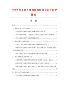 2026及未來5年鋼纜鉗項目可行性研究報告