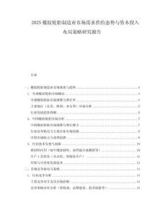 2025橡膠輪胎制造業(yè)市場需求供給態(tài)勢與資本投入布局策略研究報(bào)告
