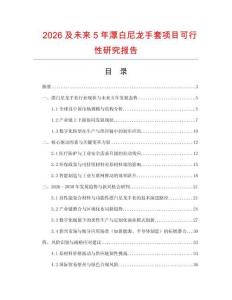 2026及未來5年漂白尼龍手套項目可行性研究報告