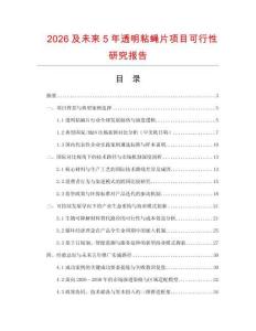 2026及未來5年透明粘蠅片項目可行性研究報告