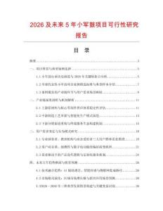 2026及未來5年小軍鼓項(xiàng)目可行性研究報(bào)告