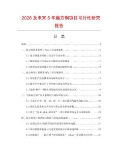 2026及未來5年扁方鋼項目可行性研究報告