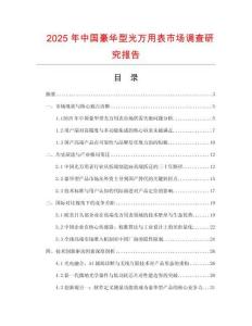 2025年中國豪華型光萬用表市場調查研究報告