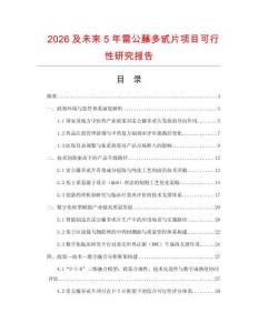 2026及未來5年雷公藤多甙片項目可行性研究報告
