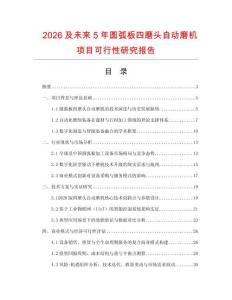 2026及未來5年圓弧板四磨頭自動磨機項目可行性研究報告