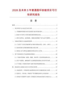 2026及未來5年普通圓環鐵鏈項目可行性研究報告