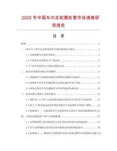 2025年中國車內走蛇霓虹管市場調查研究報告