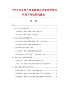 2026及未來5年單腳高壓式中底定型機項目可行性研究報告