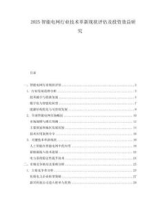 2025智能電網行業技術革新現狀評估及投資效益研究