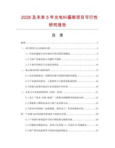 2026及未來5年光電糾偏架項目可行性研究報告