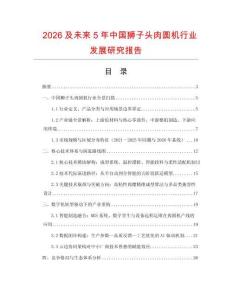 2026及未來5年中國獅子頭肉圓機行業發展研究報告