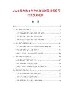 2026及未來5年單絲加捻過膠線項(xiàng)目可行性研究報(bào)告