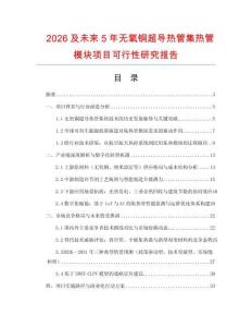 2026及未來5年無氧銅超導熱管集熱管模塊項目可行性研究報告