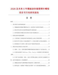 2026及未來5年精拋迷你套塑柄針嘴鉗項目可行性研究報告