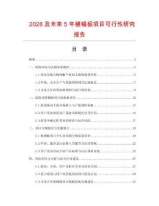 2026及未來5年植錫板項目可行性研究報告