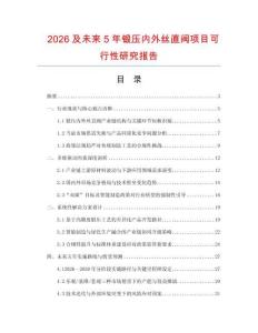2026及未來5年鍛壓內(nèi)外絲直閥項(xiàng)目可行性研究報(bào)告