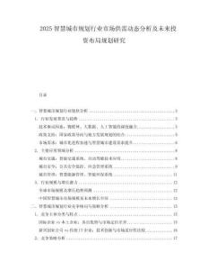 2025智慧城市規(guī)劃行業(yè)市場供需動(dòng)態(tài)分析及未來投資布局規(guī)劃研究