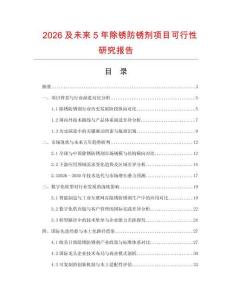 2026及未來5年除銹防銹劑項目可行性研究報告