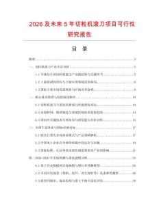 2026及未來5年切粒機滾刀項目可行性研究報告