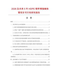 2026及未來5年HDPE鋼帶增強纏繞管項目可行性研究報告