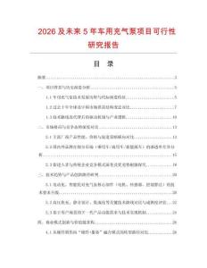 2026及未來5年車用充氣泵項目可行性研究報告