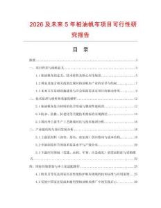 2026及未來5年柏油帆布項目可行性研究報告