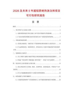 2026及未來5年超輕質絕熱澆注料項目可行性研究報告
