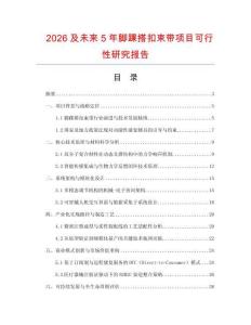 2026及未來5年腳踝搭扣束帶項(xiàng)目可行性研究報(bào)告