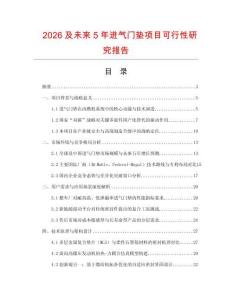 2026及未來(lái)5年進(jìn)氣門(mén)墊項(xiàng)目可行性研究報(bào)告
