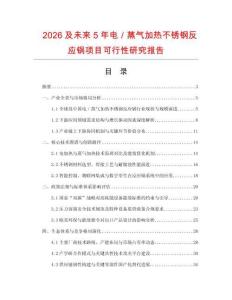 2026及未來5年電／蒸氣加熱不銹鋼反應鍋項目可行性研究報告