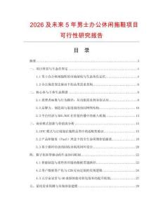2026及未来5年男士办公休闲拖鞋项目可行性研究报告