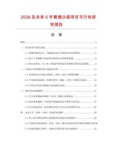 2026及未來5年普通沙袋項目可行性研究報告