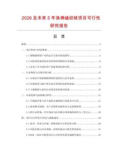 2026及未來5年滌棉縫紉線項目可行性研究報告