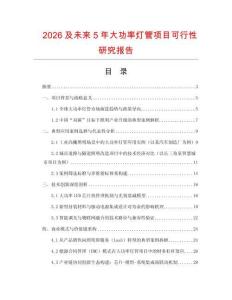 2026及未來5年大功率燈管項目可行性研究報告
