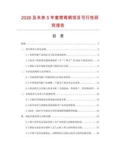 2026及未來5年套筒彎柄項目可行性研究報告