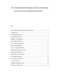 2025智慧城市建設智能交通行業商業運營現狀交通流量分析及實時交通誘導規劃分析報告