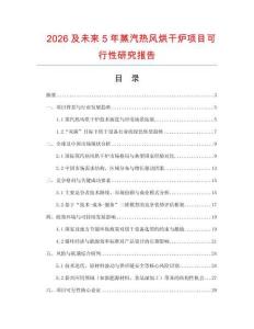 2026及未來5年蒸汽熱風烘干爐項目可行性研究報告