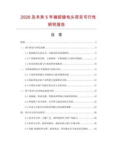 2026及未來5年端部接電頭項目可行性研究報告