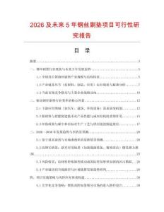 2026及未來(lái)5年鋼絲刷墊項(xiàng)目可行性研究報(bào)告
