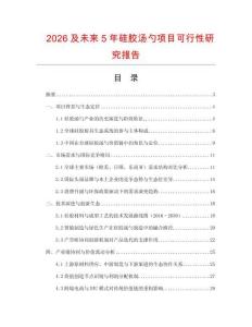 2026及未來5年硅膠湯勺項目可行性研究報告