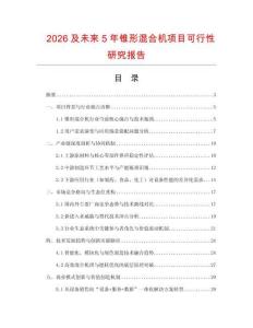 2026及未來5年錐形混合機項目可行性研究報告