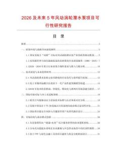 2026及未來5年風動渦輪潛水泵項目可行性研究報告