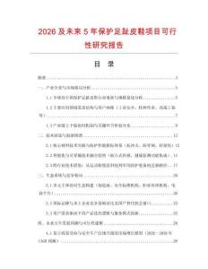 2026及未來5年保護(hù)足趾皮鞋項(xiàng)目可行性研究報(bào)告