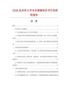 2026及未來5年烏冬面碗項目可行性研究報告