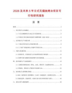 2026及未來5年日式無煙燒烤臺項目可行性研究報告
