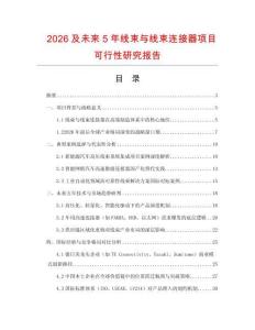 2026及未來5年線束與線束連接器項目可行性研究報告