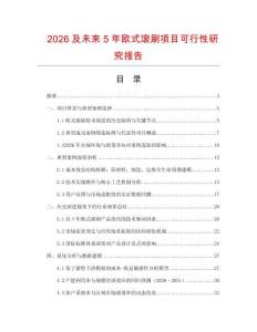 2026及未來5年歐式滾刷項目可行性研究報告