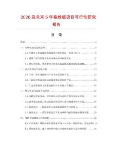 2026及未來5年拖線板項目可行性研究報告